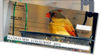 Backyard Bird Side Tear Checks
