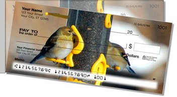 Backyard Bird Side Tear Design Checks