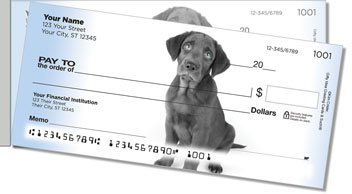 Black Lab Pup Side Tear Checks