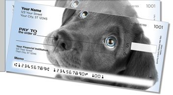 Black Lab Pup Side Tear Design Checks