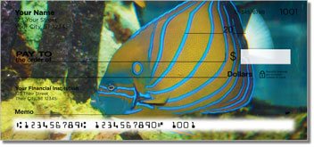 Blue Ring Angelfish Design Checks
