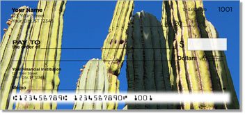 Cactus Design Checks