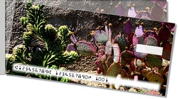 Cactus Side Tear Checks