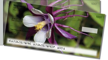 Columbine Flower Side Tear Checks