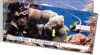 Coral Reef Side Tear Design Checks