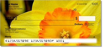 Golden Daffodil Design Checks