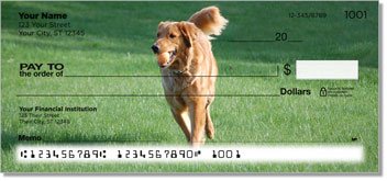 Golden Retriever Checks