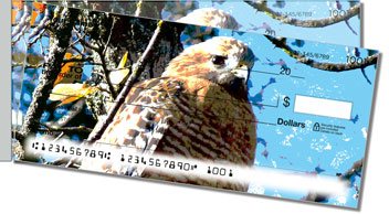 Hawk Side Tear Personalized Checks