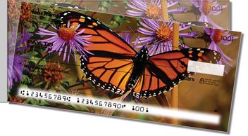 Milkweed Butterfly Side Tear Checks