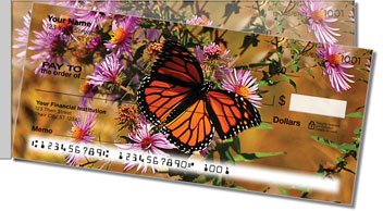 Milkweed Butterfly Side Tear Design Checks