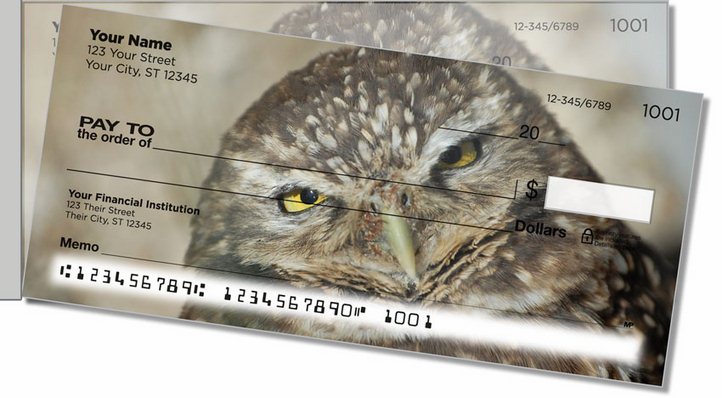 Owl Side Tear Personal Checks