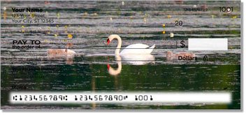 Swan Checks