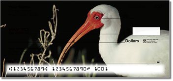 White Ibis Checks