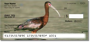 White Ibis Personalized Checks
